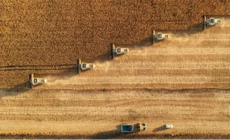 Аналітики знижують прогноз врожайності сільгоспкультур в ЄС