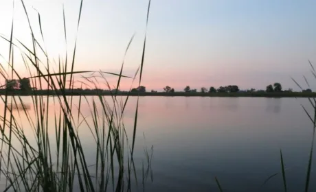 Понад 22,8 мільйона гривень спрямують на зариблення українських водойм