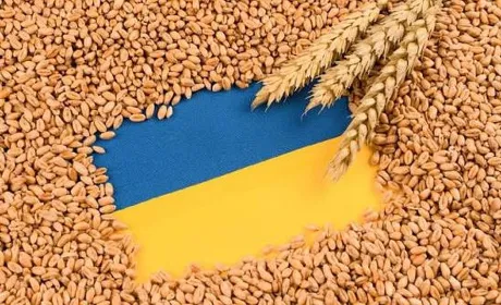 Альтернативні маршрути та рукави зберігання: як агросектор долає нову портову кризу