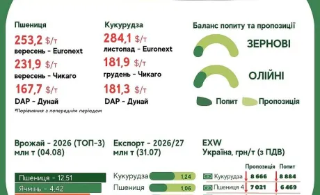 Тренди на ринку зернових та олійних з 31 липня по 6 серпня