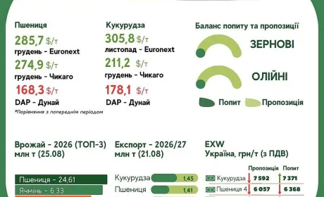Тренди на ринку зернових та олійних з 20 по 26 серпня