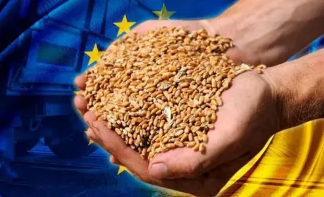 Україна планує збільшити квоти ЄС на агропродукцію