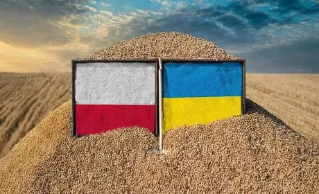 Тарас Качка наголосив на важливості ефективних прикордонних процедур без їх надмірного спрощення