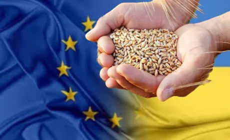 Україна вичерпала квоту на безмитні поставки пшениці до ЄС