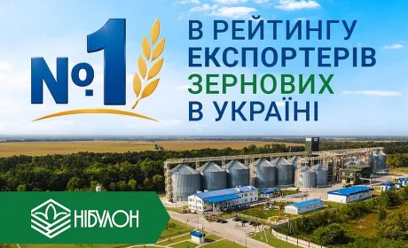 НІБУЛОН очолив рейтинг експортерів зерна в Україні