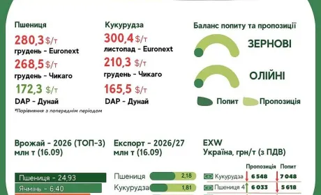 Тренди на ринку зернових та олійних з 10 по 16 вересня
