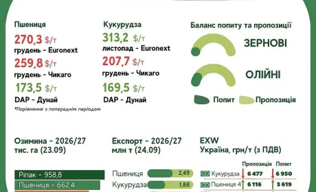 Тренди на ринку зернових та олійних з 18 по 24 вересня
