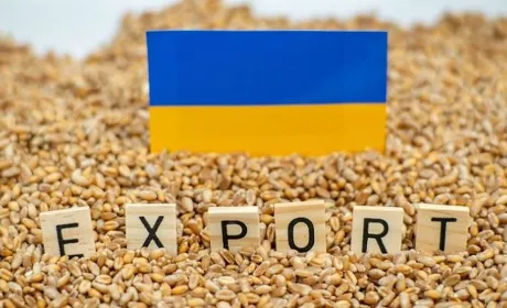 Україна експортувала 1,58 млн тонн агропродукції
