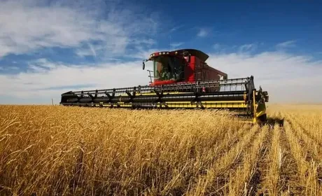 Агросектор продовжує забезпечувати виробництво та експорт продукції, – Тарас Висоцький