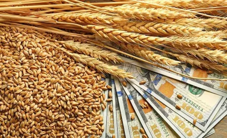 Тарас Висоцький закликав ЄС підтримати безперебійний агроекспорт
