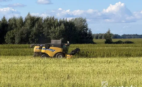 Група АГРОТРЕЙД завершила збирання технічних конопель