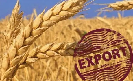 Експортери агропродукції отримають відстрочку за контрактами