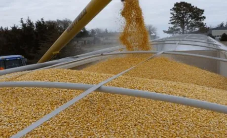 Україна з початку вересня експортувала 1,6 млн тонн агропродукції