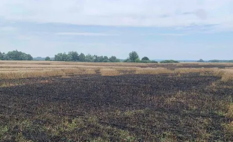 Нові види втрат від війни в міжнародному Реєстрі збитків