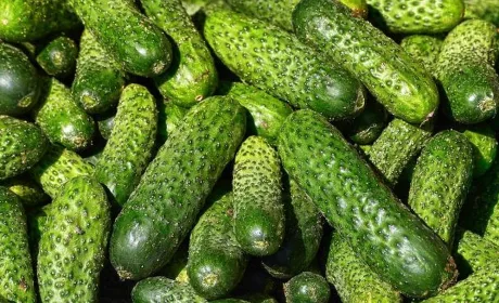 Ціни на огірки зростають через скорочення пропозиції