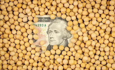 Попит на сою перевищує активність продавців