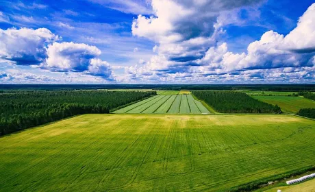 Ринок сільськогосподарських земель у серпні 2026 року зазнав найрізкішого сповільнення з початку року