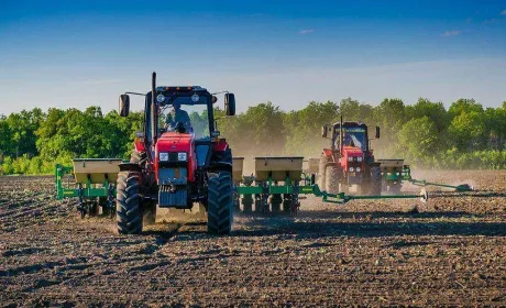 Аграрії засіяли озимими 2,61 млн га