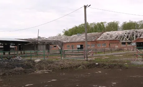 Як бізнесу підготуватися до участі у програмах компенсації воєнних ризиків — пояснення ВАР