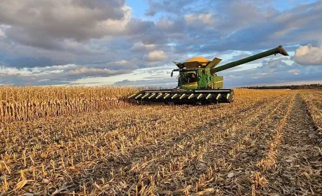 Аграрії Вінниччини намолотили 2,75 млн тонн зерна