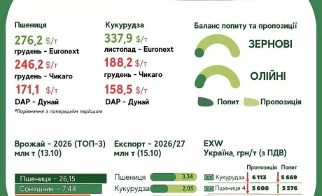 Тренди на ринку зернових та олійних з 9 по 15 жовтня