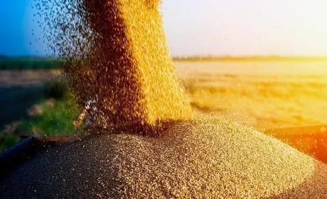 Експорт агропродукції у жовтні зріс на 4,8%