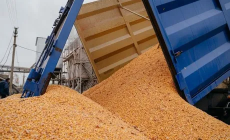 Дорога логістика коштує агросектору 1,5 млрд доларів