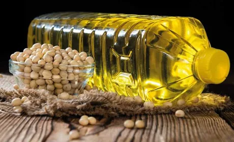 Логістика дорожчає: аграрії переходять на олійні культури
