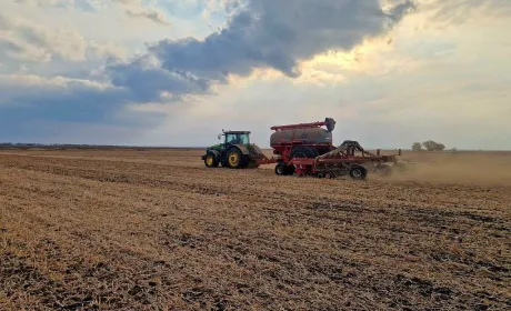 Tekom Agro Group завершив сівбу озимого ячменю
