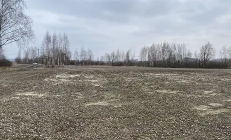 Перебування орендодавця в окупації чи його зникнення безвісти не скасовує обов’язок сплати оренди землі