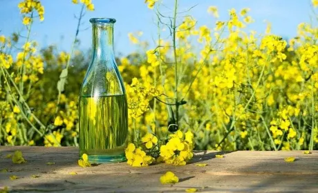 Ріпакова олія дорожчає