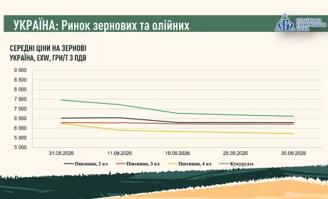 Підсумки вересня на ринку зернових та олійних