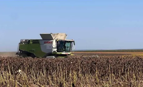 Аграрії Буковини стримують продаж зерна через низькі ціни