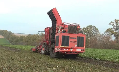 На Вінниччині працюють усі п'ять цукрових заводів