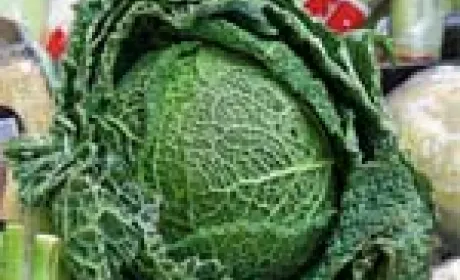 Ринок овочів і баштанних культур в Україні:  поточна кон’юнктура і прогноз