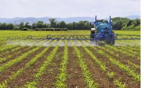 ARYLEX™ ACTIVE — ІННОВАЦІЙНИЙ КРОК У КОНТРОЛІ ШИРОКОЛИСТИХ БУР’ЯНІВ У ПОСІВАХ ПОЛЬОВИХ КУЛЬТУР