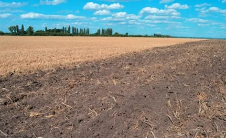 Удобрення кукурудзи на еродованих ґрунтах