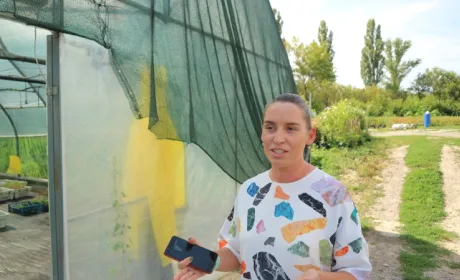 Приміське сільське господарство: ставка на органіку