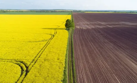 60% голів ОТГ та сільських рад підтримують запровадження обігу земель, - Міністерство економіки