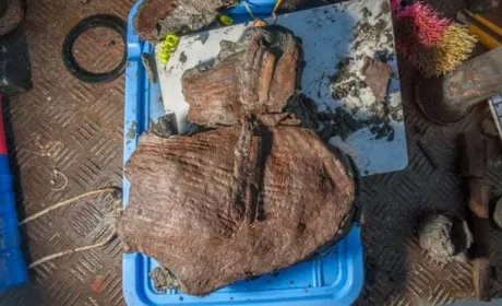 У Єгипті знайдено кошики з фруктами, що збереглися з IV століття до н.е.