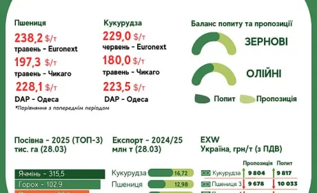 Тижневий тренд на ринку зернових та олійних з 24 по 31 березня