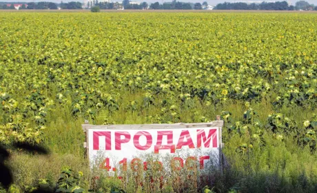 ЄСПЛ заявляє, що  заборона на продаж землі в Україні порушує права власників