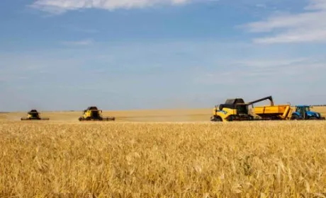 В Україні вже намолотили майже 100 тис. тонн зерна нового врожаю