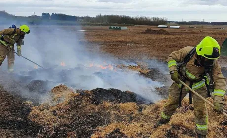 Як свині за допомогою крокоміра спричинили пожежу на фермі