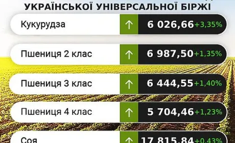 Ціни на зернові та олійні залишатимуться стабільними, – аналітики
