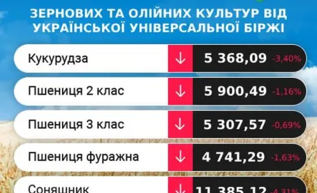Аналітики очікують ще більшого розриву цін між продовольчим та фуражним зерном