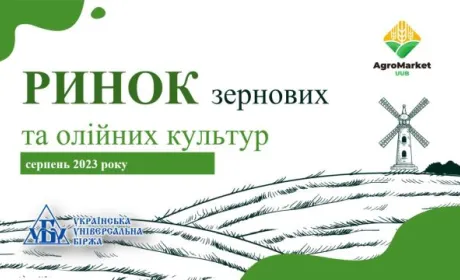 Підсумки серпня на ринку зернових та олійних
