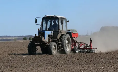 Посівна-2019: Посів ранніх зернових та зернобобових культур здійснюється вже у 7 областях