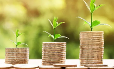 В Україні в 2020 році планують запустити дві програми держпідтримки АПК