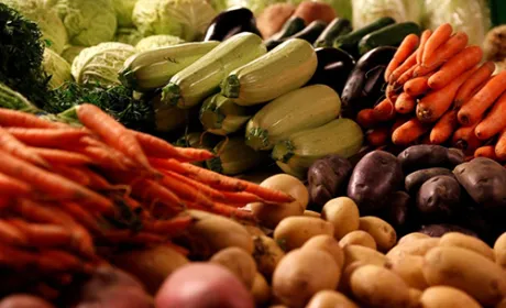 Виробництво сільгосппродукції в Україні продовжує дорожчати